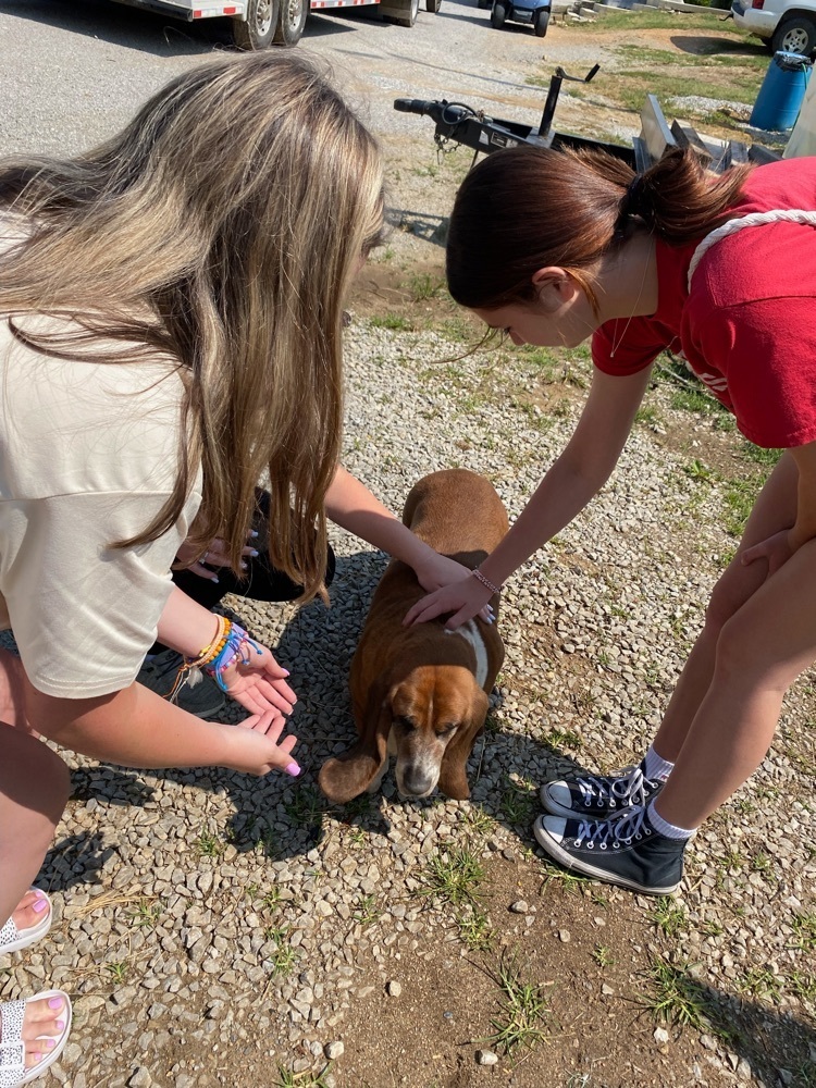 Live Feed Red Boiling Springs School